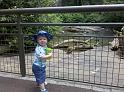 2010-05-29 12.38.02